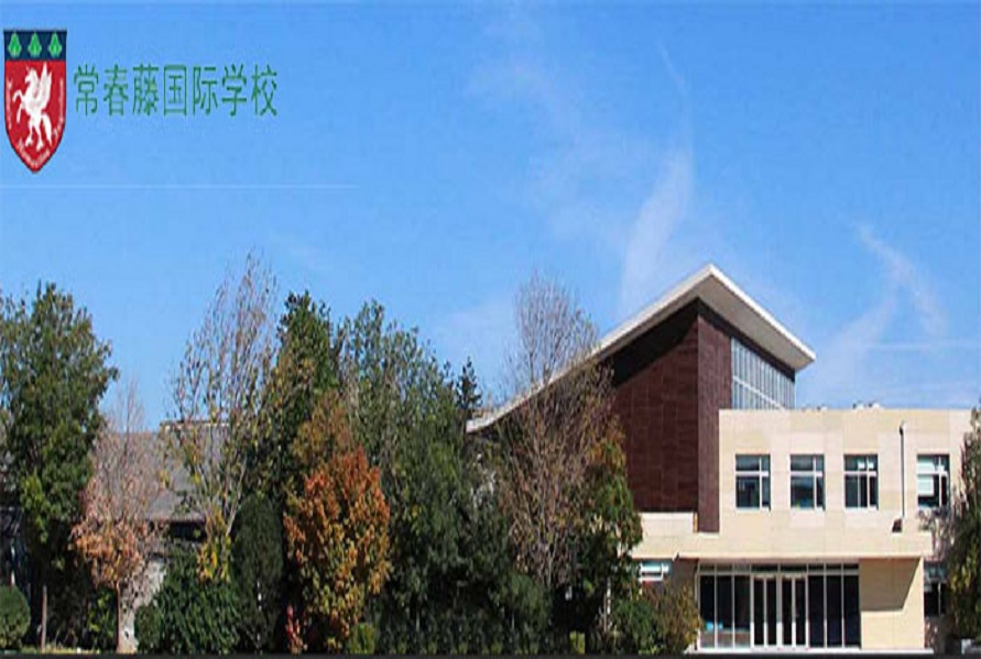 國(guó)際學(xué)校(圖1)